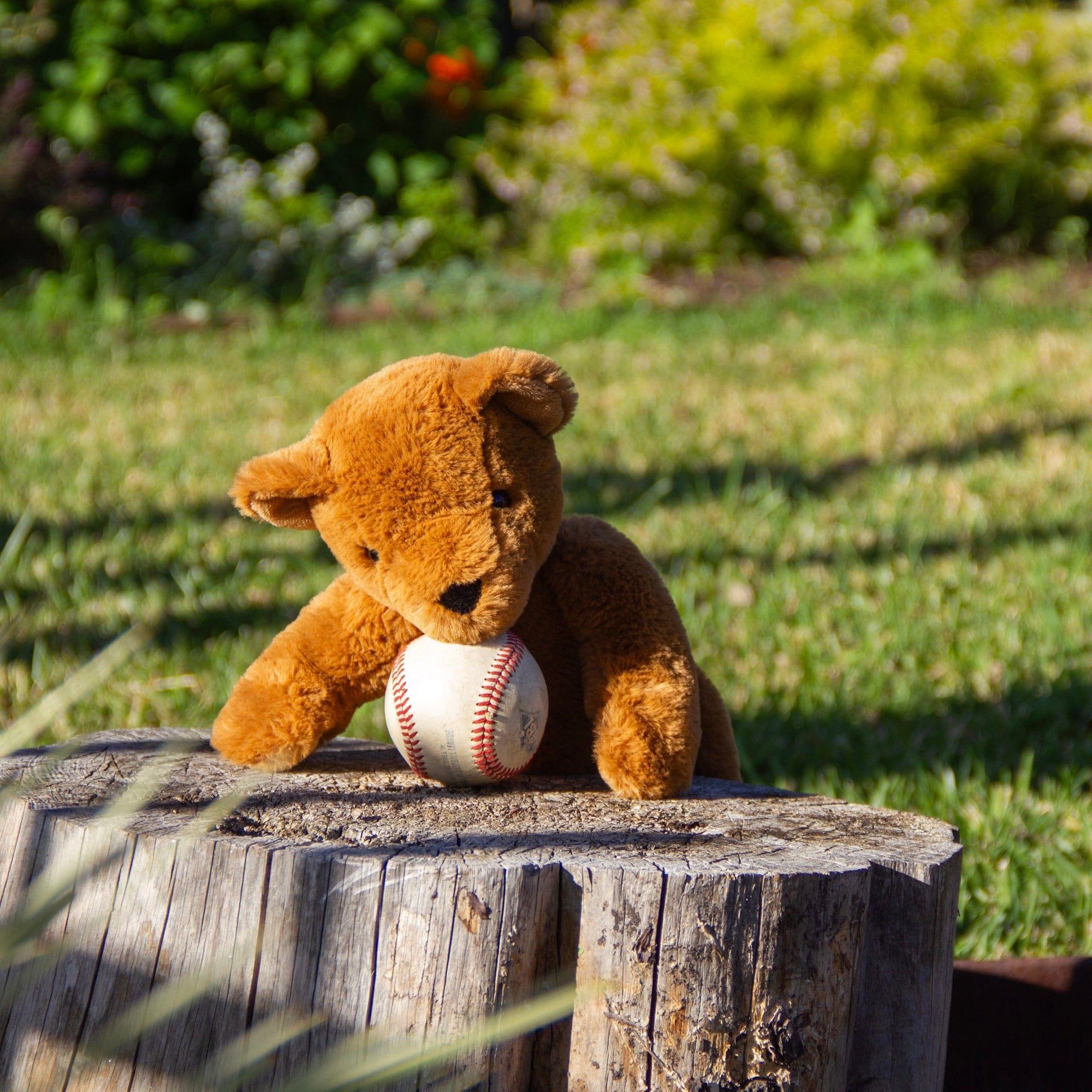 Wonderlings Toys Soft 1902 Theodore Teddy Bear