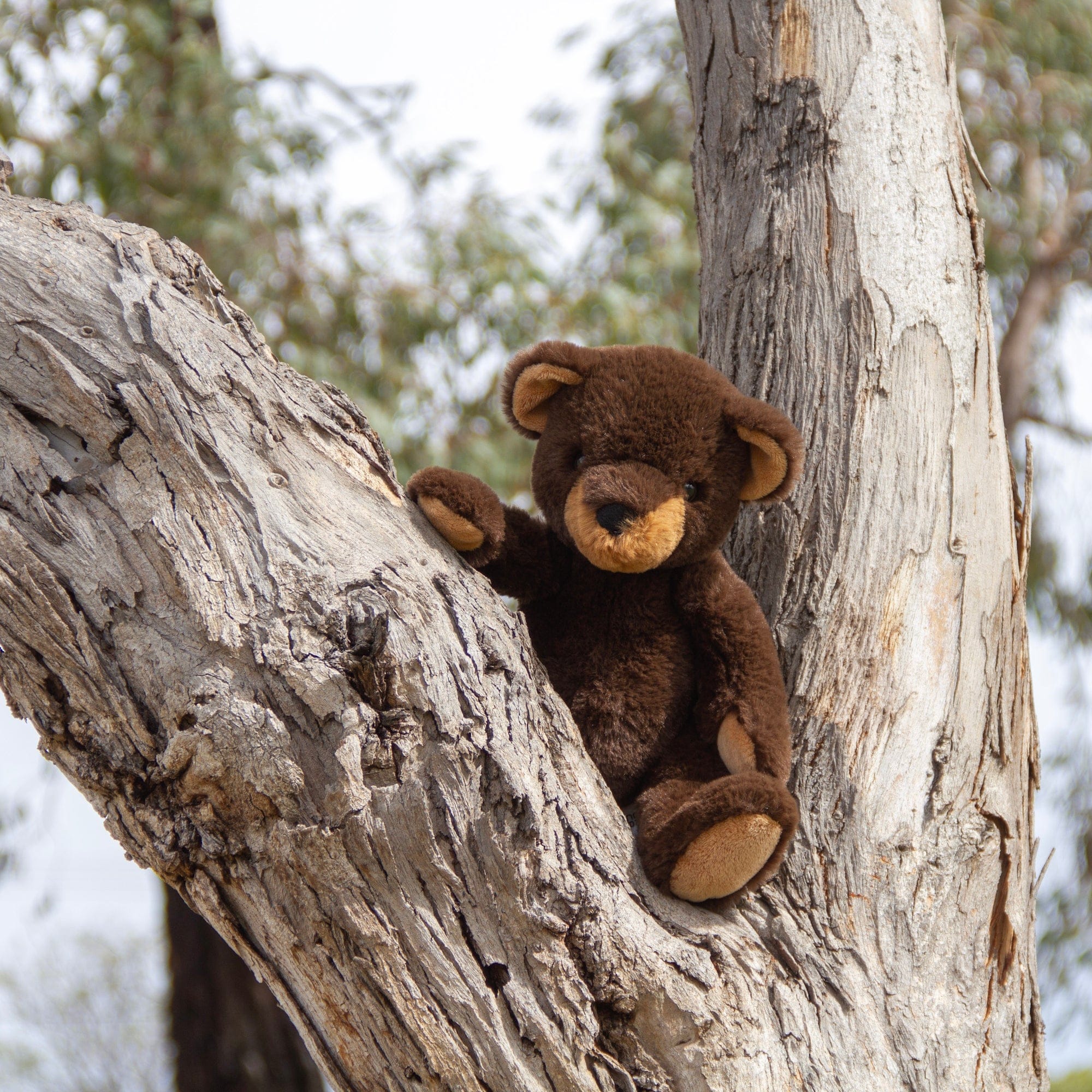 Wonderlings Toys Soft 1924 Winniepeg Brown Bear