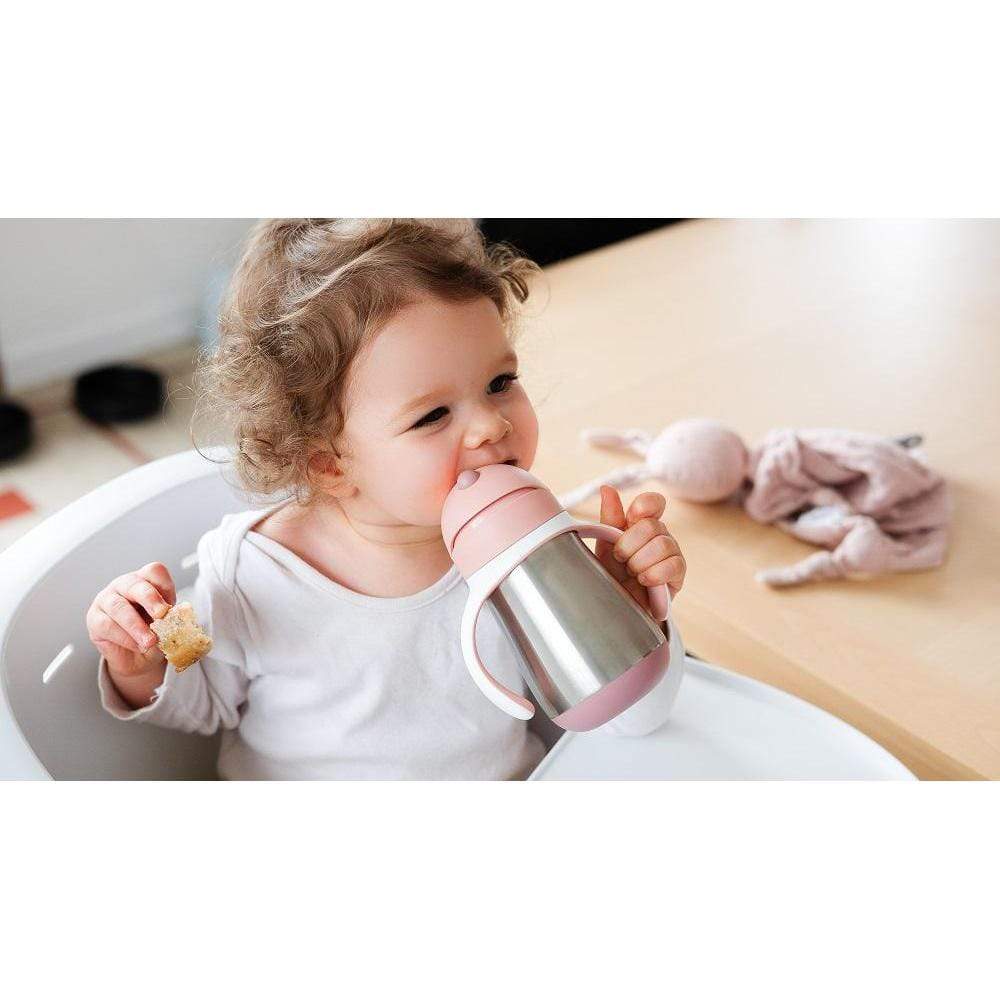Beaba Accessory Feeding Beaba Stainless Steel Straw Cup 250ml