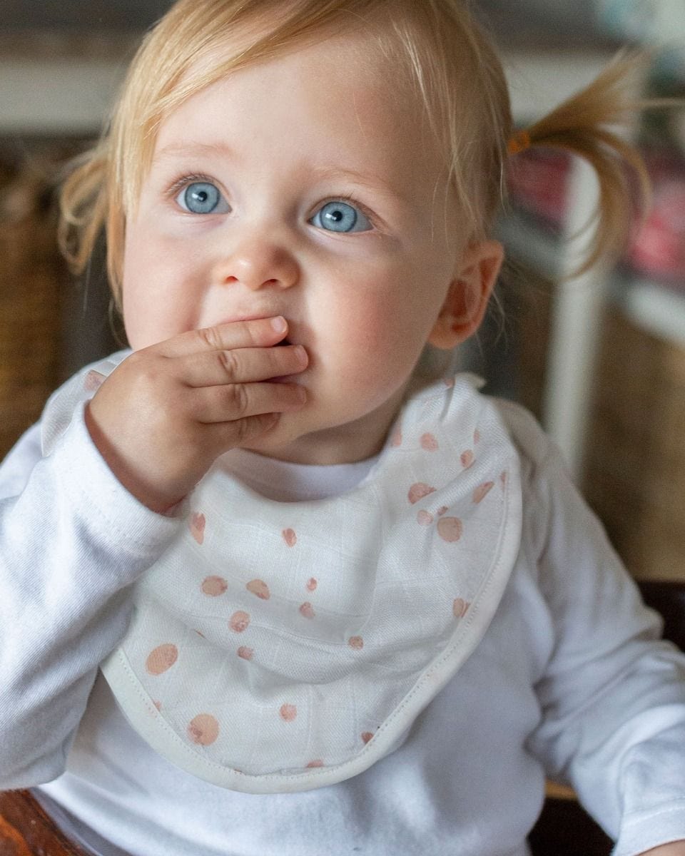 Little Bamboo Baby Accessory Little Bamboo Muslin Bib 2Pk