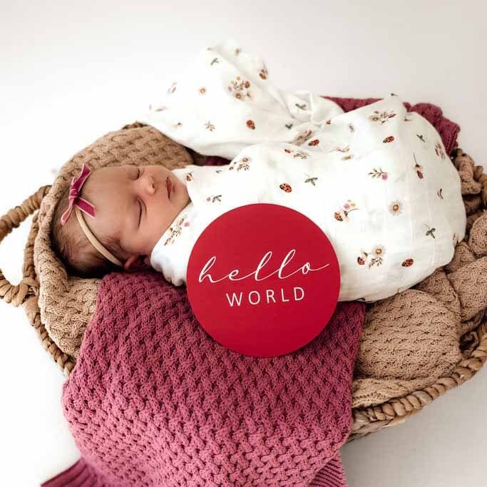 Snuggle Hunny Kids Gift Misc Ladybug & Hibiscus Reversible Milestone Cards