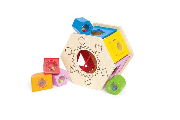 Shake and Match Shape Sorter