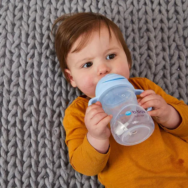 B.Box Accessory Feeding Sippy Cup V2 Bubblegum
