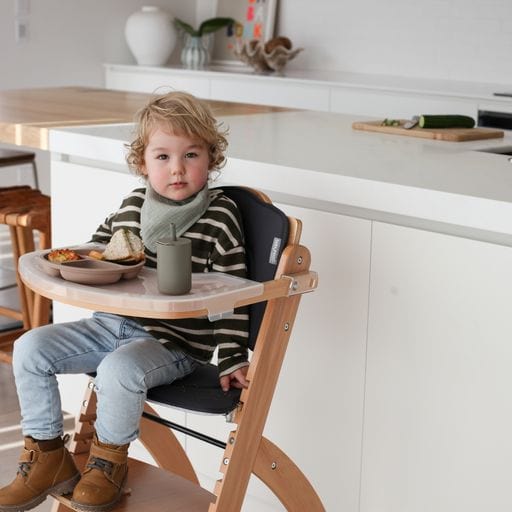 Babyhood store high chair