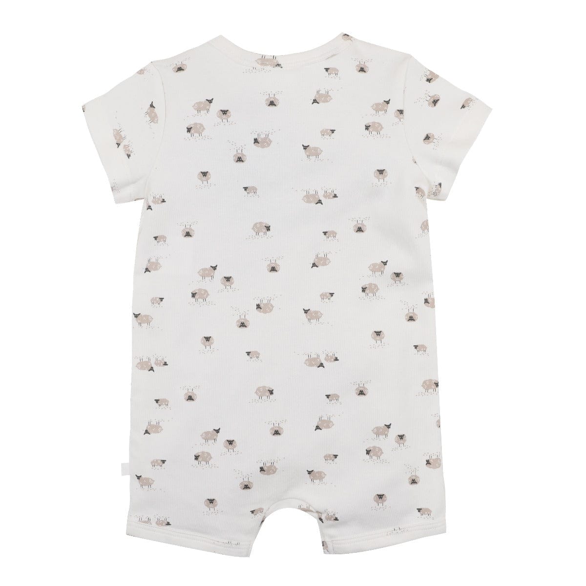Bebe by Minihaha Boys All In Ones Sheep Organic Short Sleeve Zipsuit