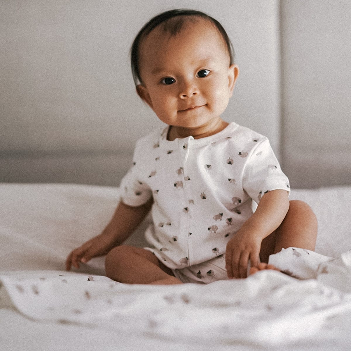 Bebe by Minihaha Boys All In Ones Sheep Organic Short Sleeve Zipsuit