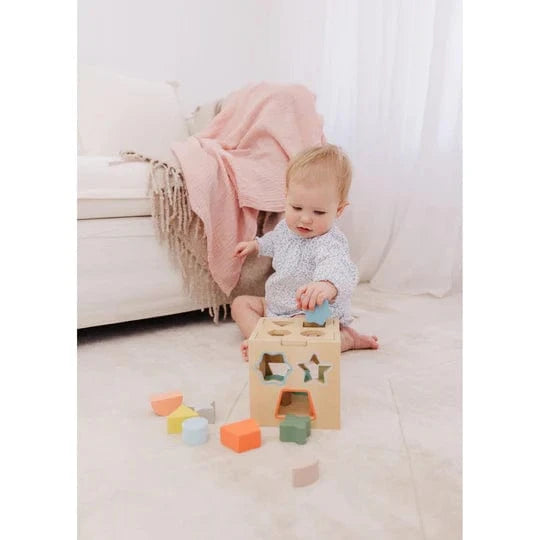 Bubble Toys Soft Wooden Shape Sorting Cube