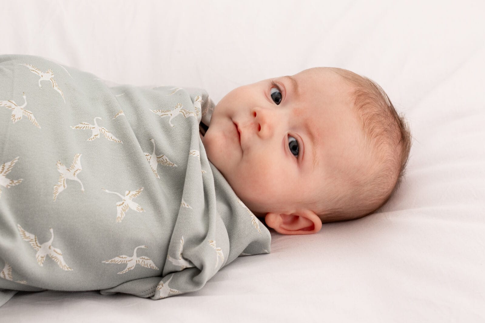 Burrow & Be Accessory Blanket Swan Flight Swaddle Blanket