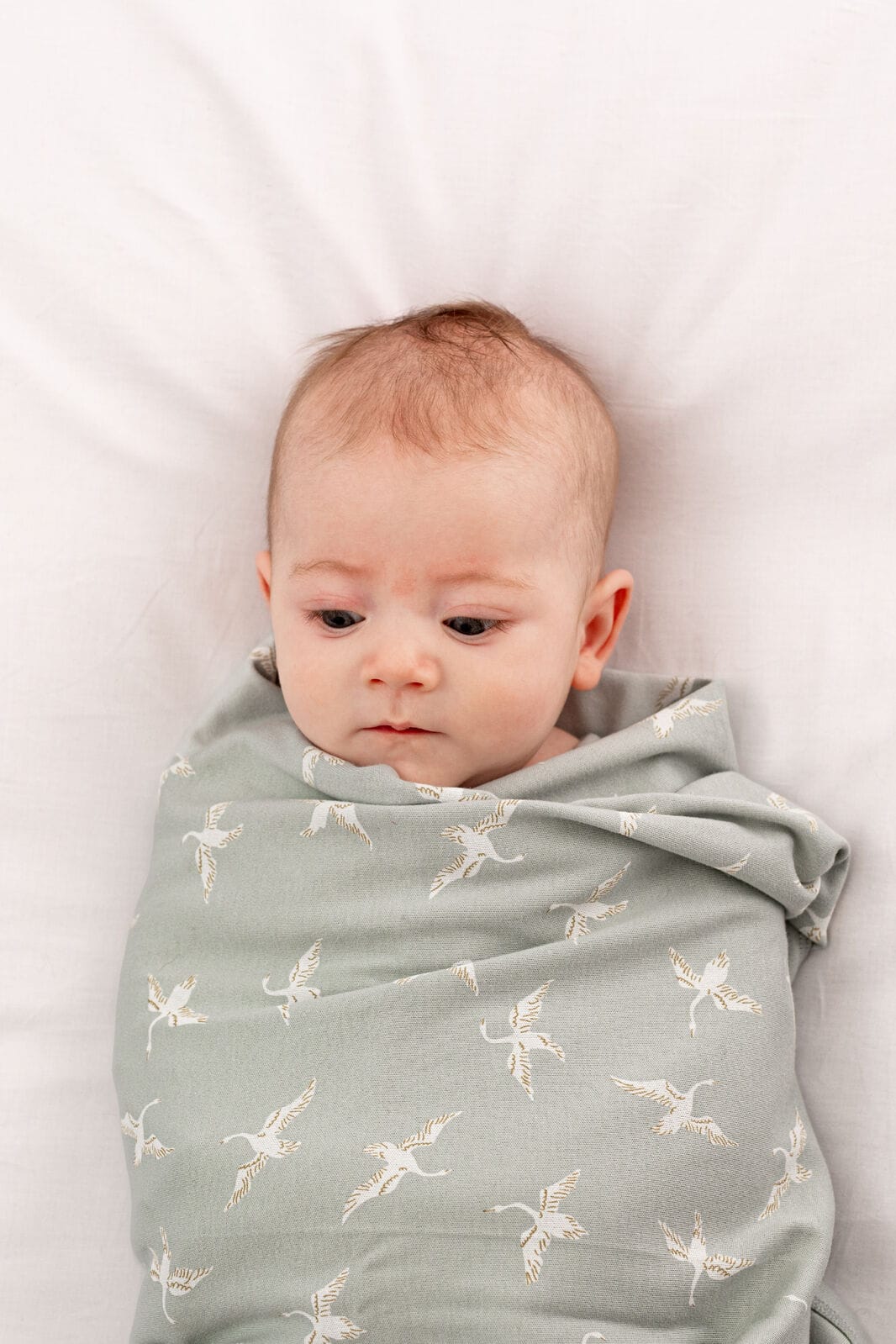 Burrow & Be Accessory Blanket Swan Flight Swaddle Blanket