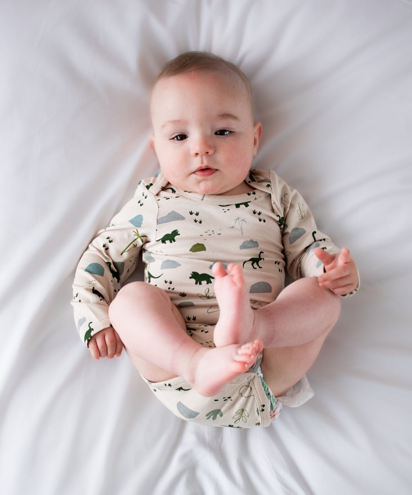 Burrow & Be Boys Onesie Jurassic Roam Long Sleeve Bodysuit