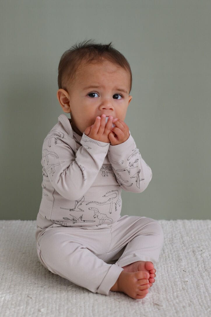 Burrow & Be Unisex Onesie Dino Roar Long Sleeve Bodysuit