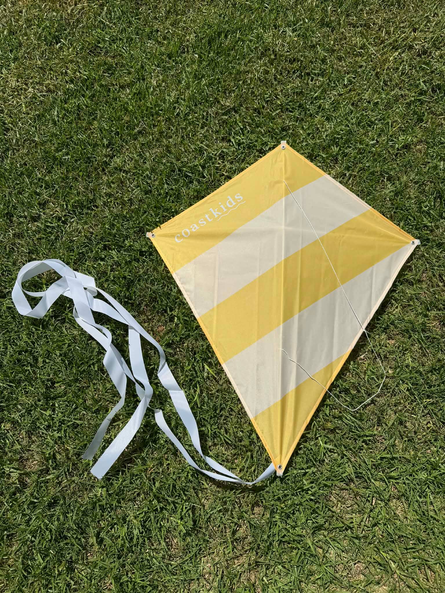 Coast Kids Toys Traditional Kite - Kirra - Made From Recycled Plastic Bottle: Waves