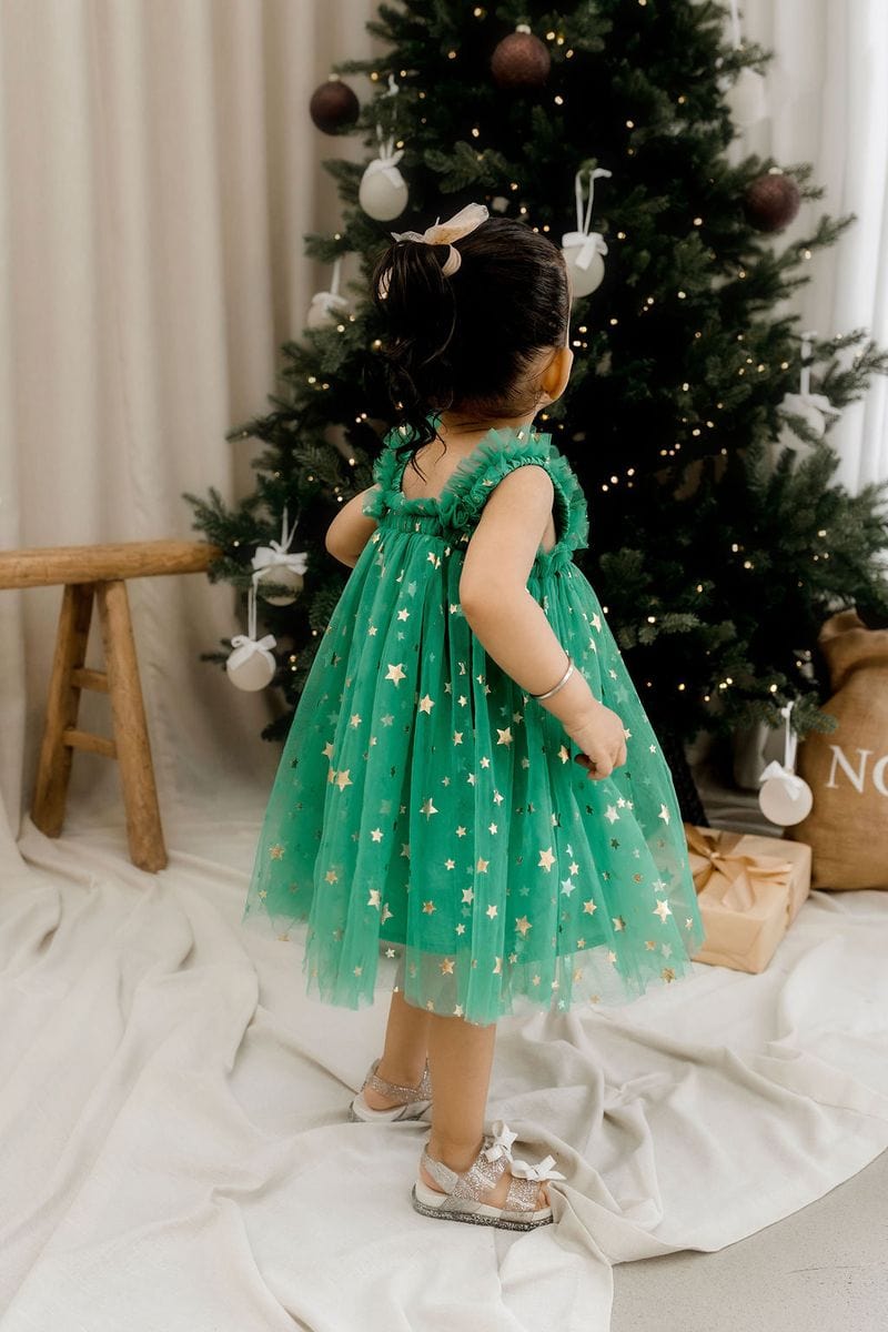 Confetti Kidz Girls Dress Classic Christmas Tulle Dress - Green Stars