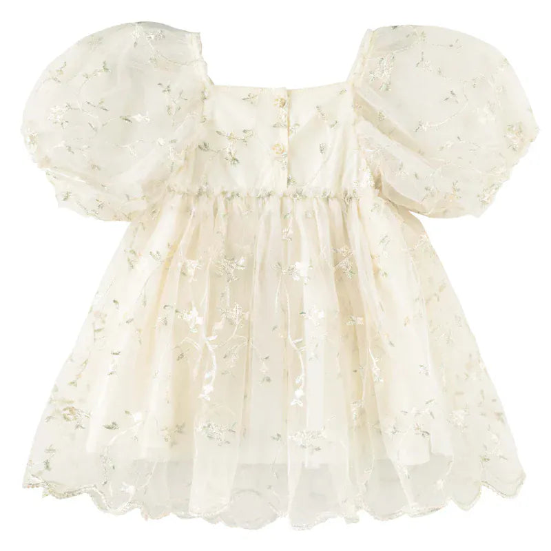 Designer Kidz Girls Dress Ava Embroidered Floral Dress