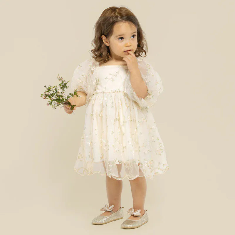 Designer Kidz Girls Dress Ava Embroidered Floral Dress
