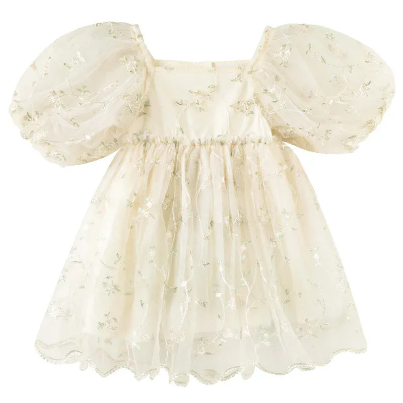 Designer Kidz Girls Dress Ava Embroidered Floral Dress