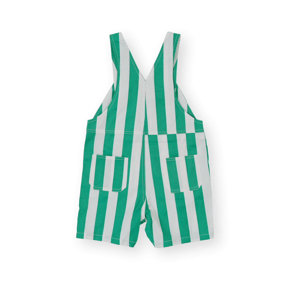 Goldie + Ace Boys All In Ones Happy Stripe Button Burton Overall