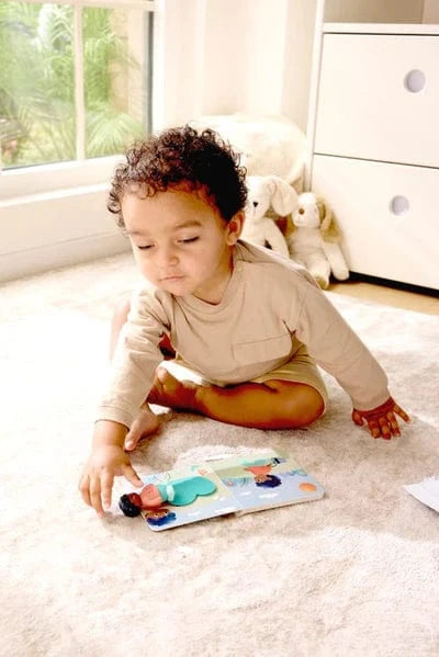 Hape Childrens Books HapeLand The Cats Secret