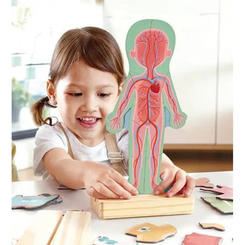 Hape Toys Human Body Magnetic Puzzle