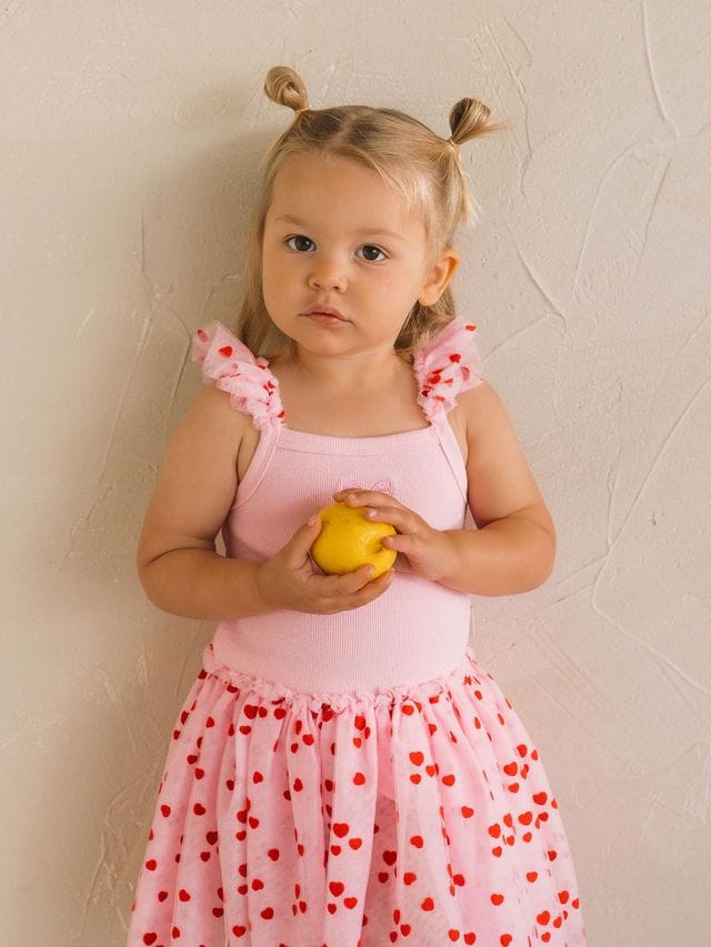 Huxbaby Girls Dress Icing-On-The-Cupcake Flocked Tulle Dress
