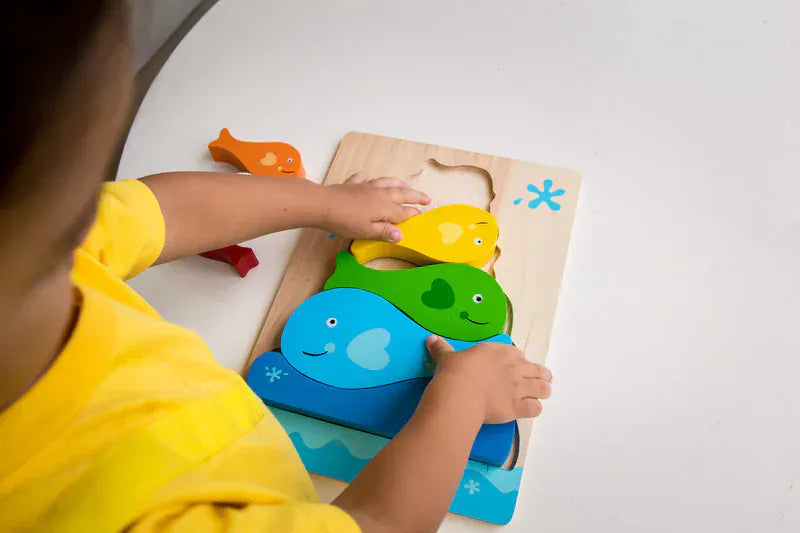 Kiddie Connect Toys Fish Stacker Puzzle