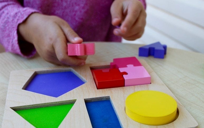 Kiddie Connect Toys Jigsaw Shape Fraction Puzzle