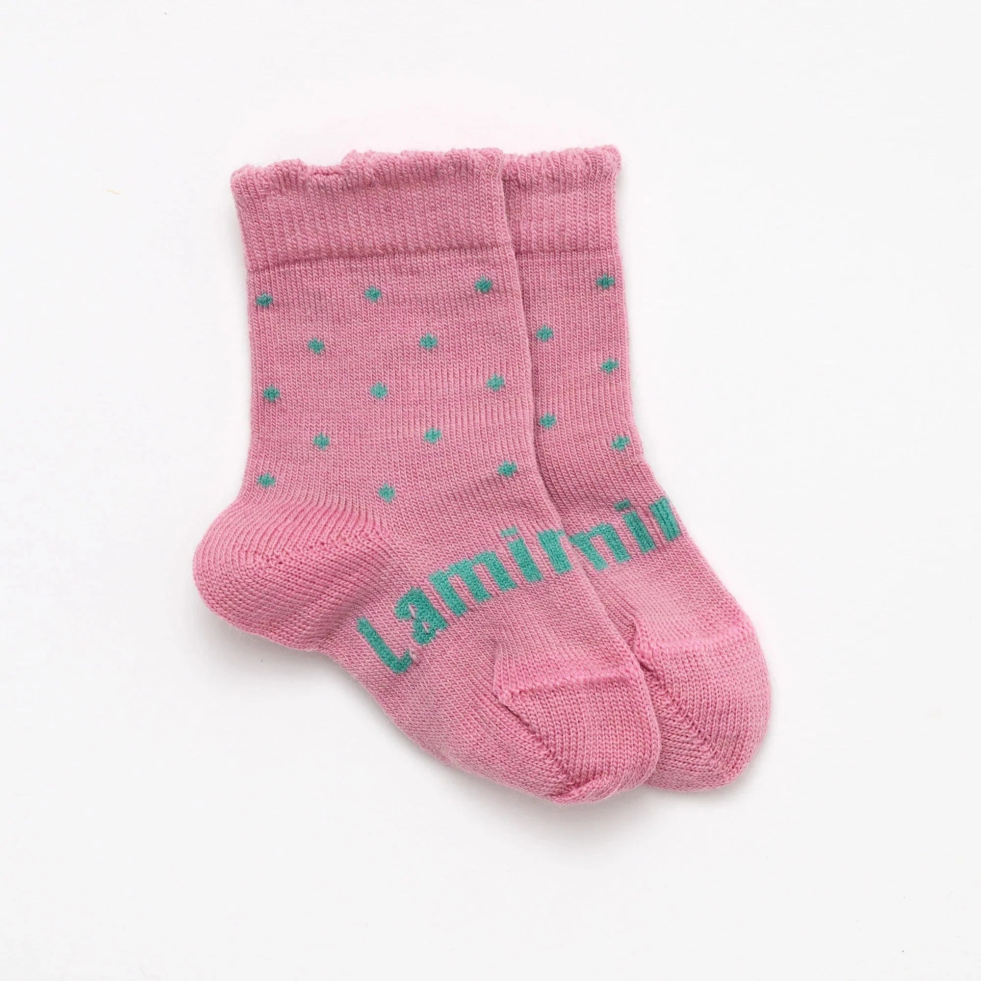 Lamington Accessory Socks Lamington Merino Crew Socks - Asta