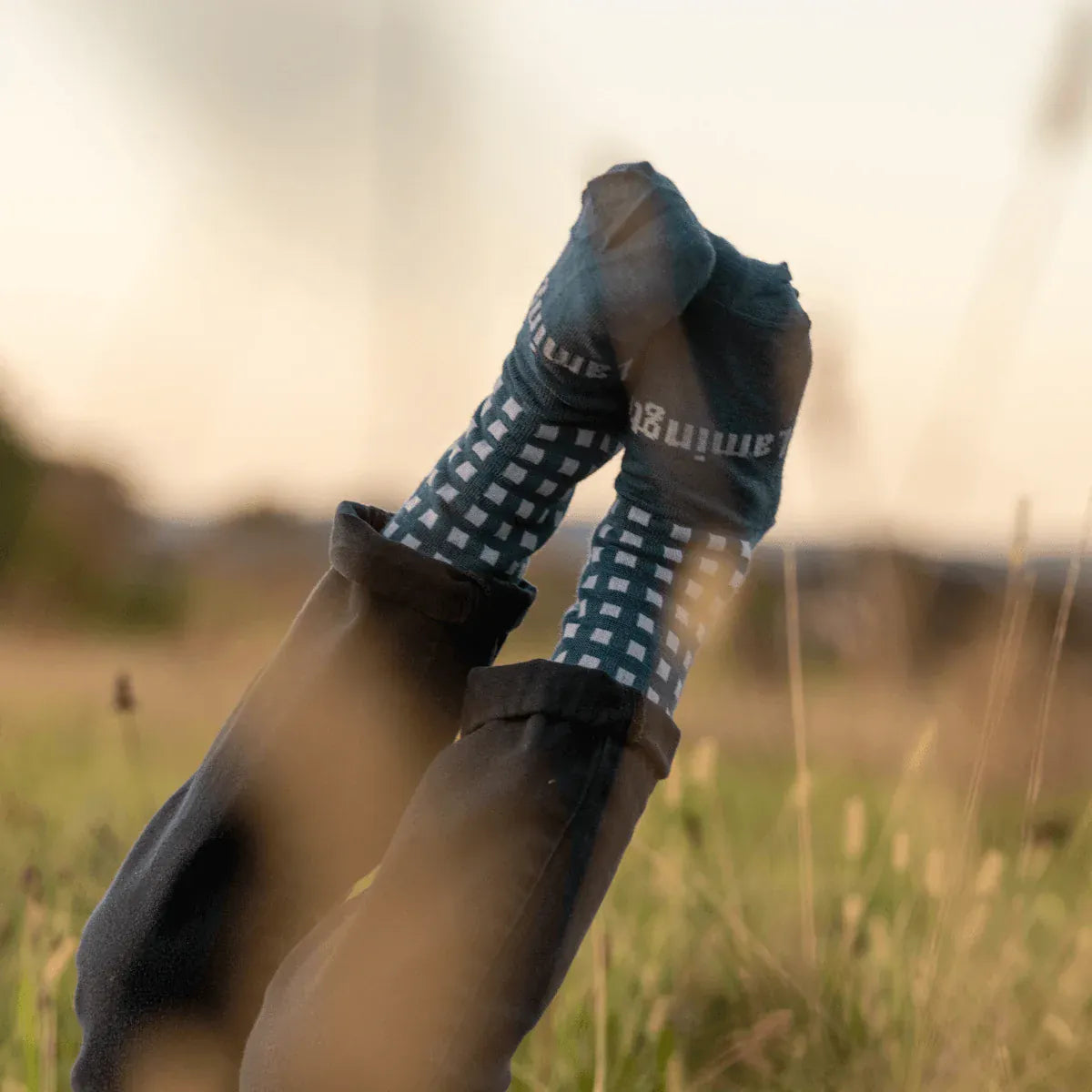 Lamington Accessory Socks Merino Crew Socks - Hayes