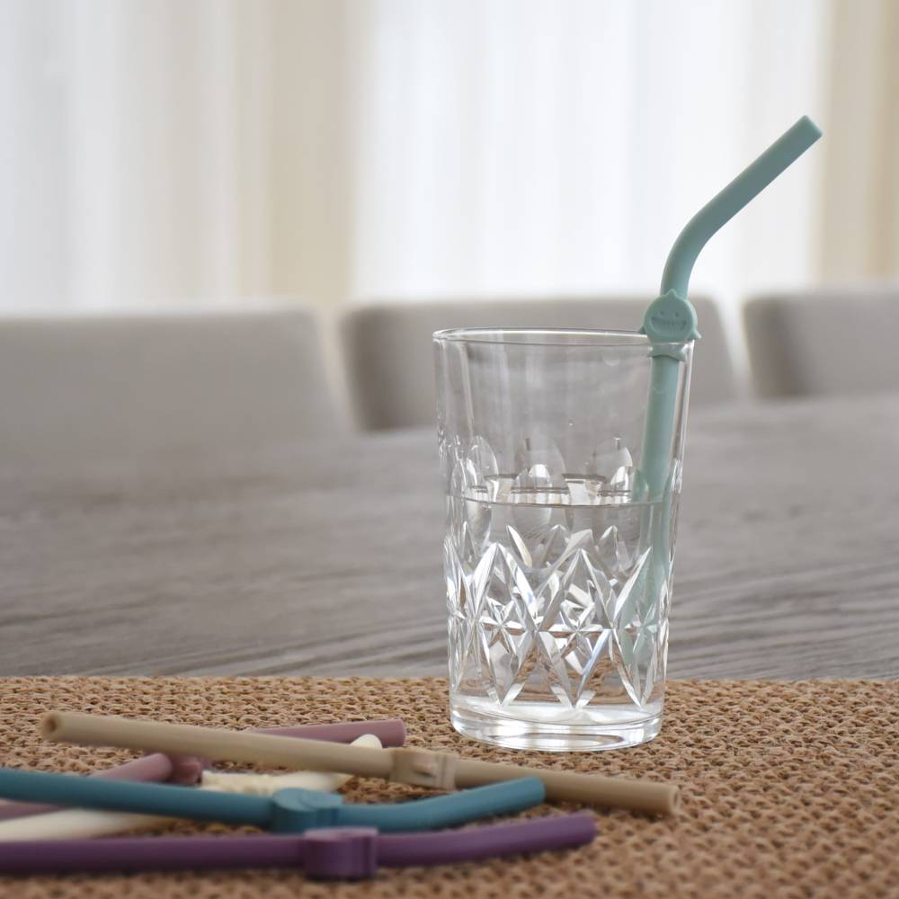 Melii Accessory Feeding Melii Silicone Luxe Animal Straws with Cleaning Brush