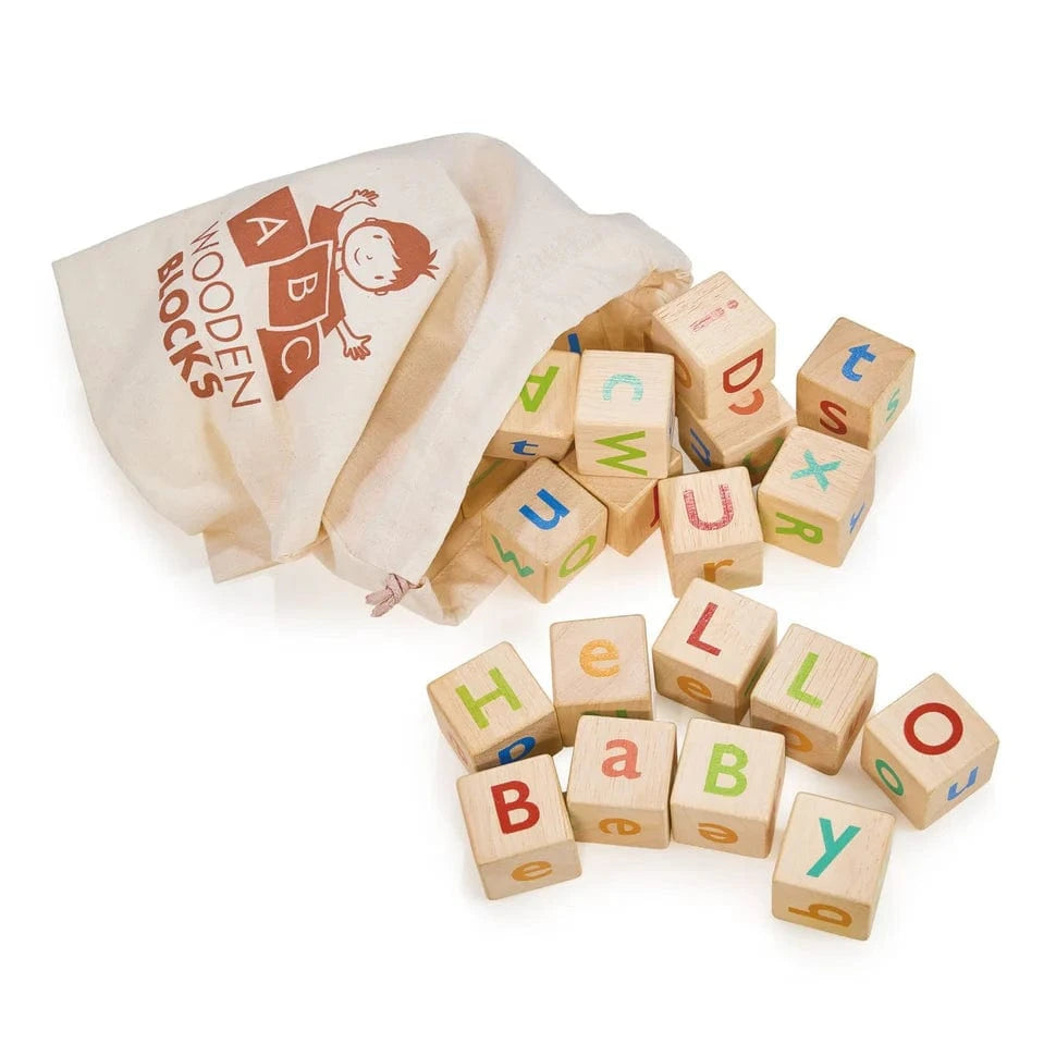 Mentari Toys Alphabet Spelling Blocks