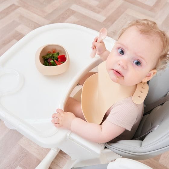 Mombella Feeding Silicone Suction Bowl