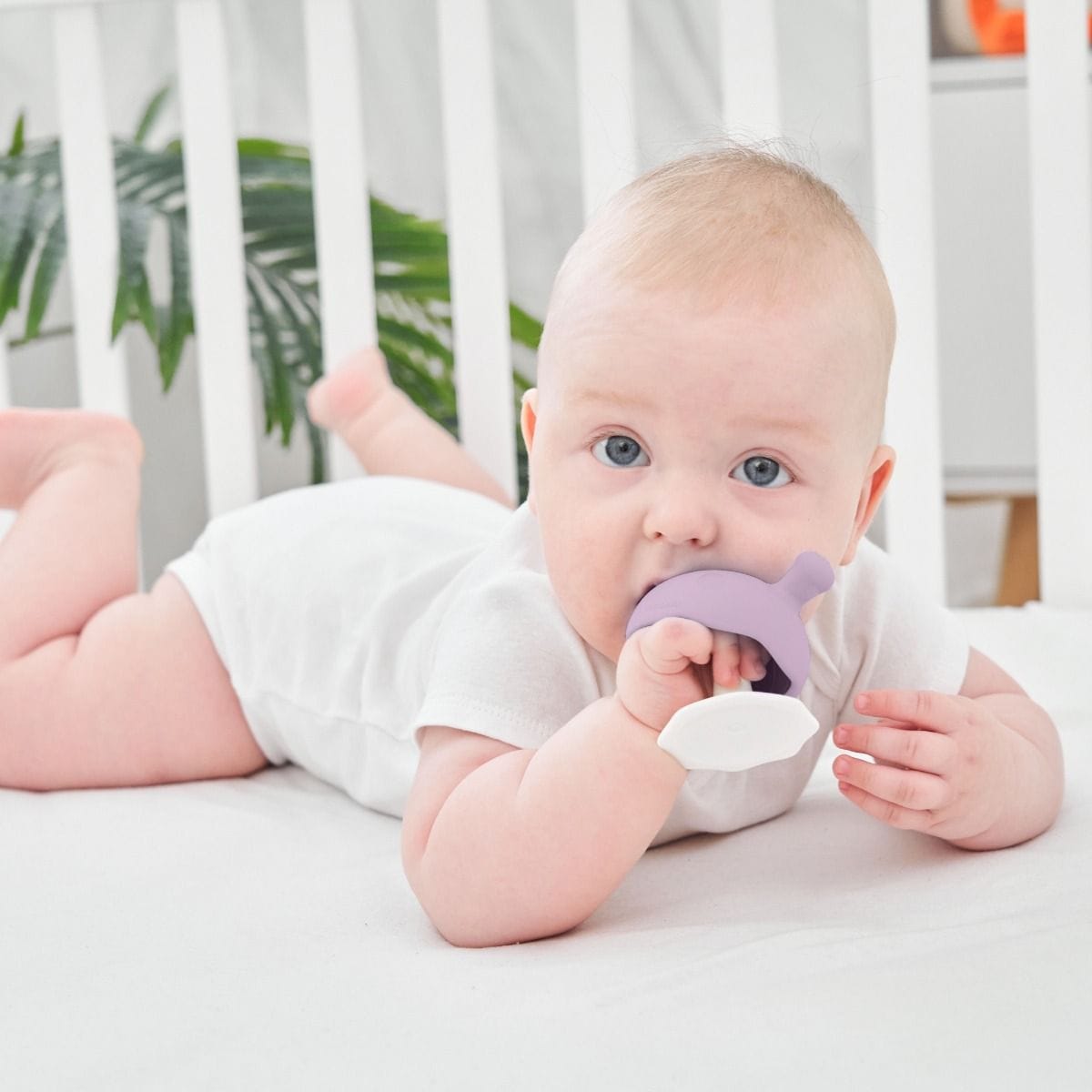 Mombella Toys Mushroom Teether - Lavender