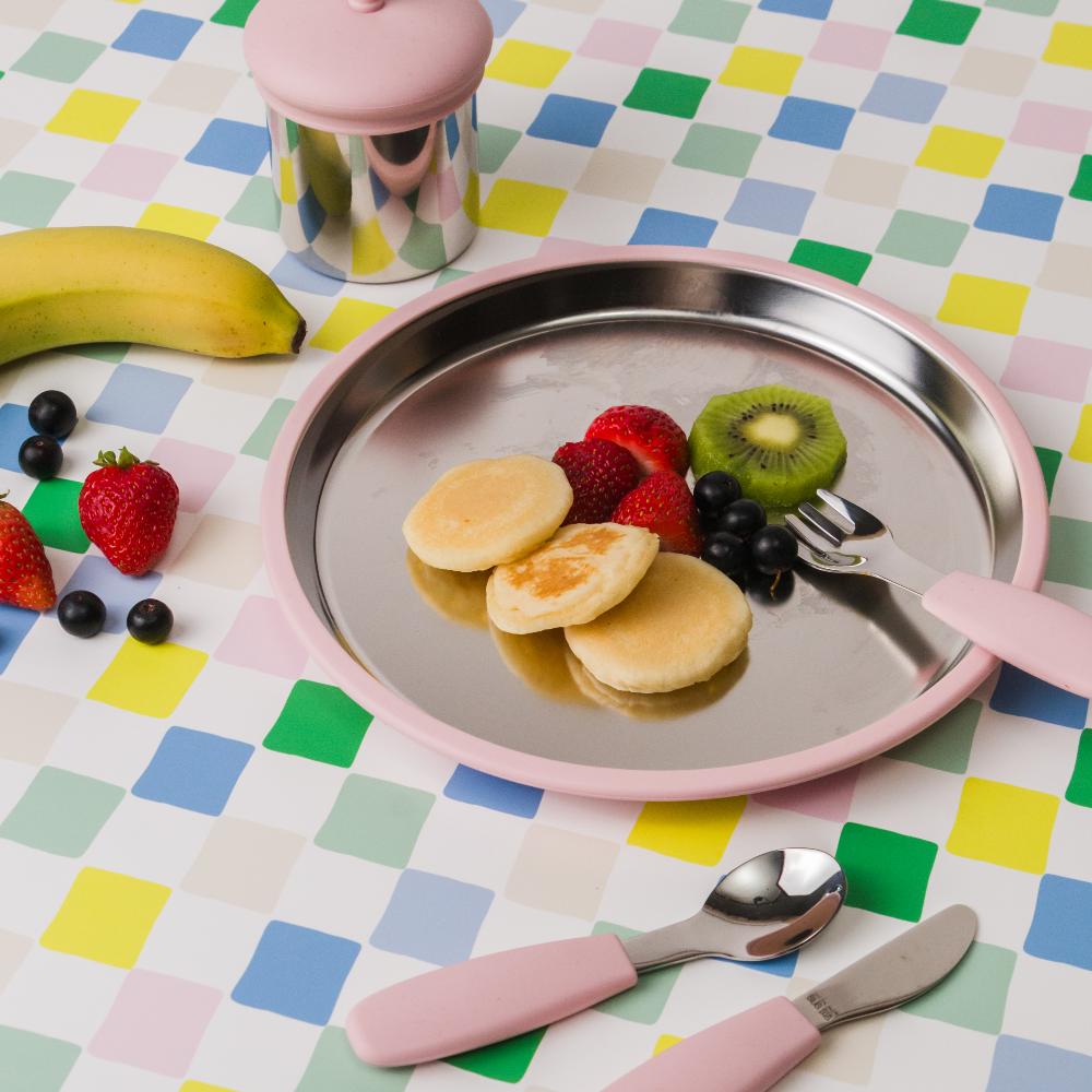 Nestling Accessory Feeding Large Stainless Flat Suction Plate 23cm