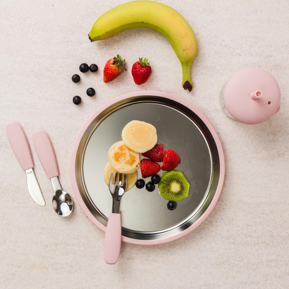 Nestling Accessory Feeding Large Stainless Flat Suction Plate 23cm