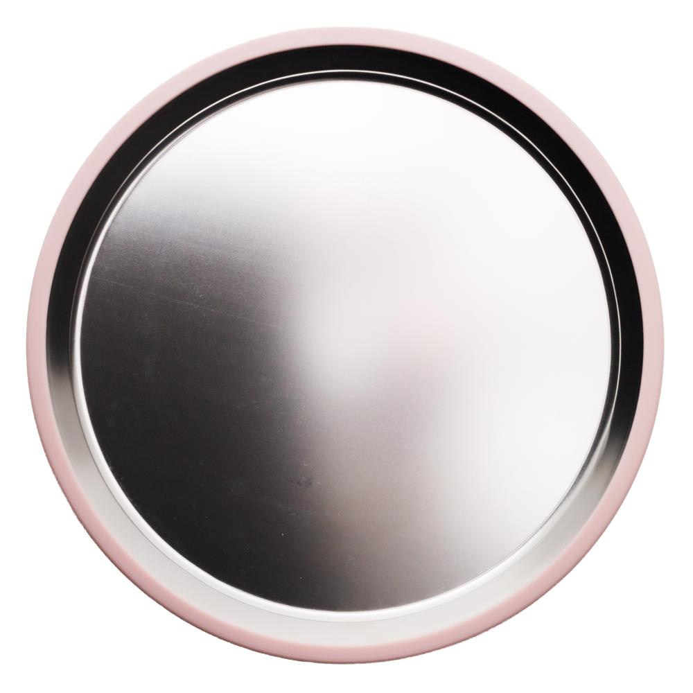 Nestling Accessory Feeding Large Stainless Flat Suction Plate 23cm