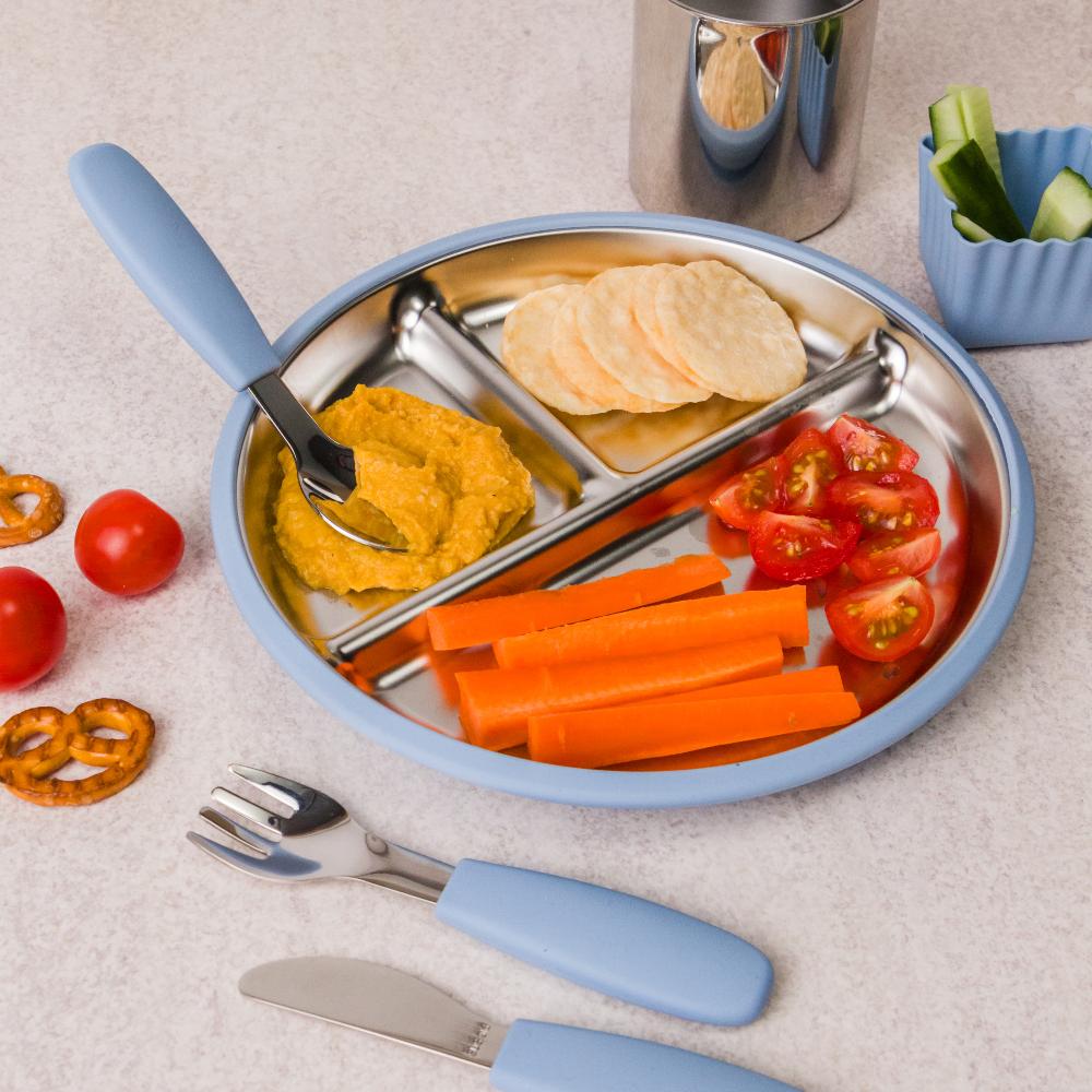 Nestling Accessory Feeding Stainless Divided Suction Plate 20cm