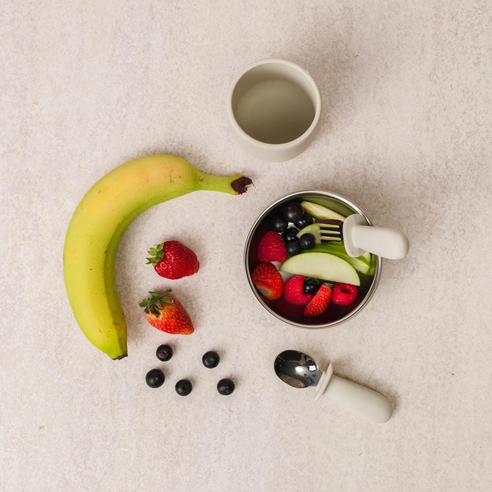 Nestling Accessory Feeding Stainless Steel Suction Bowl