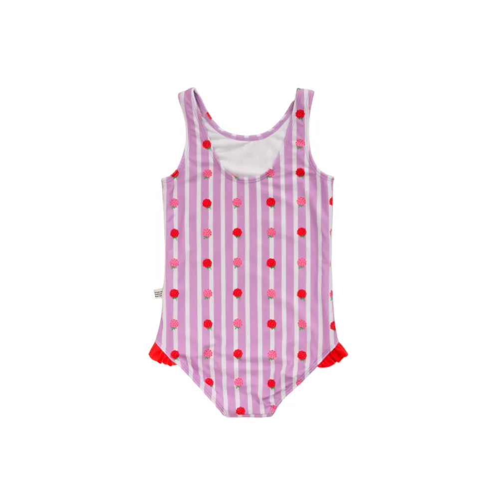 Nestling Girls Swimwear Neon Girls Swimsuit - Striped Raspberries