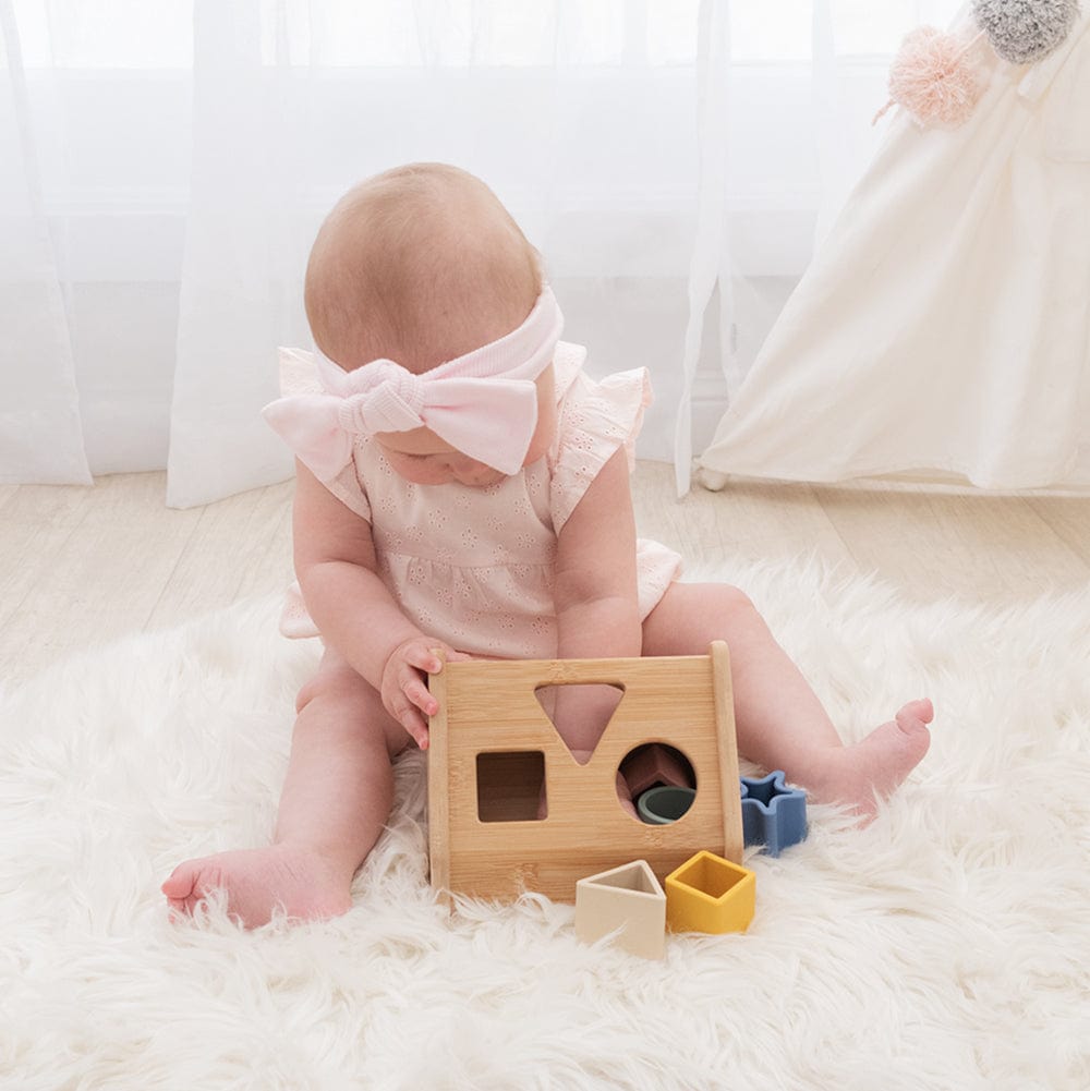 Playground Toys House Shape Sorter