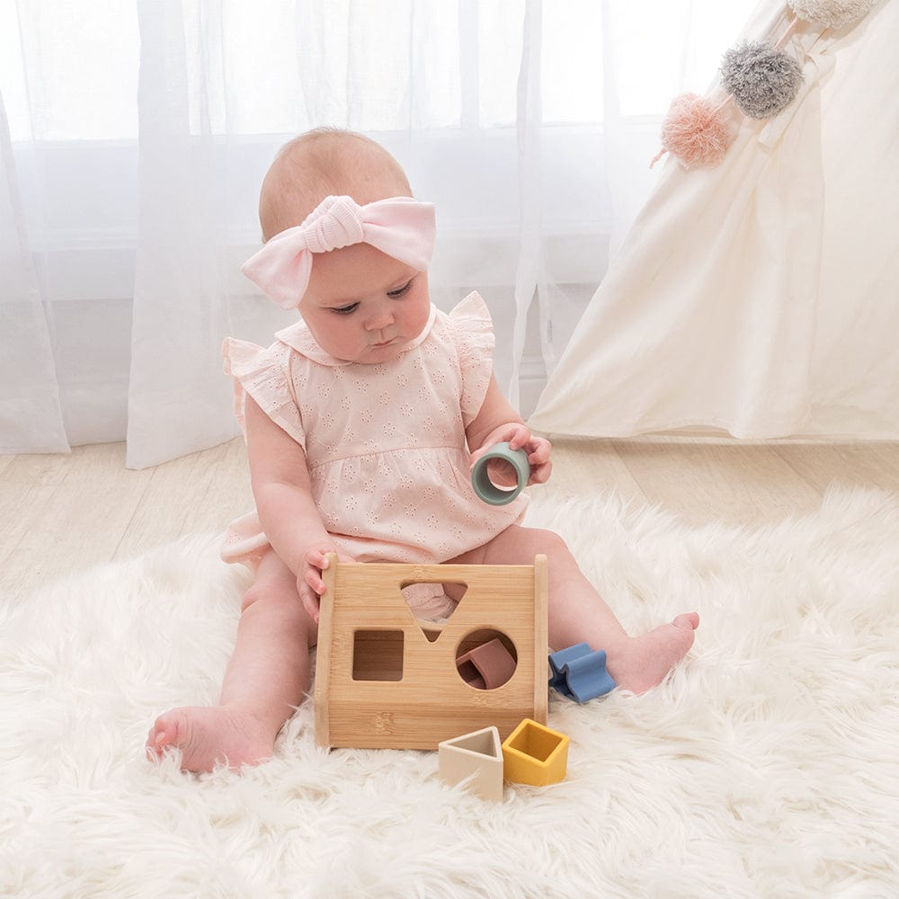 Playground Toys House Shape Sorter