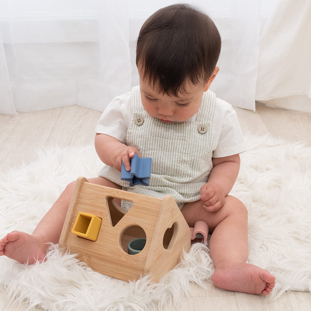 Playground Toys House Shape Sorter