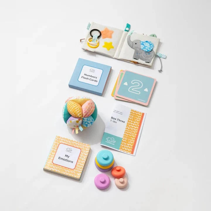 Playground Toys Playground Plus Box 3 - Nurturing Thoughtful Play 7-9M