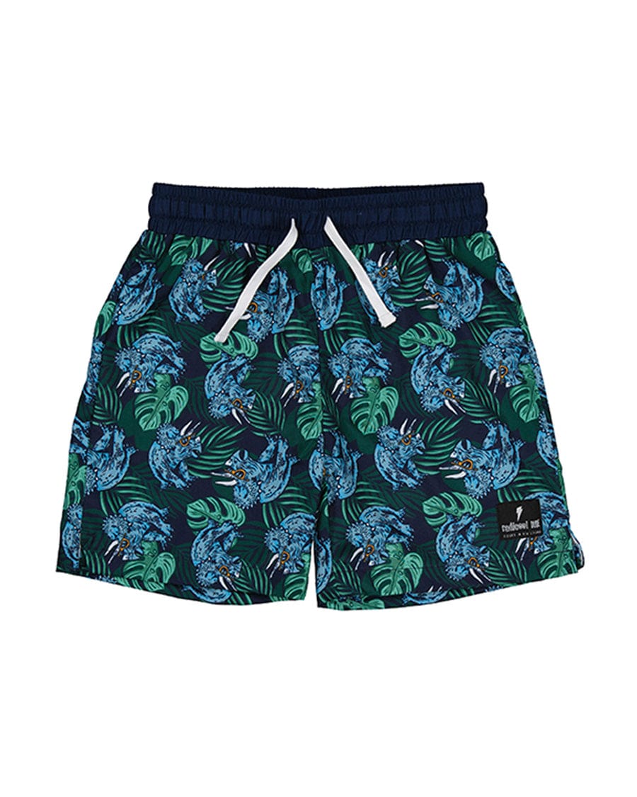 Radicool Dude Boys Bottoms Tropical Dino Boardies