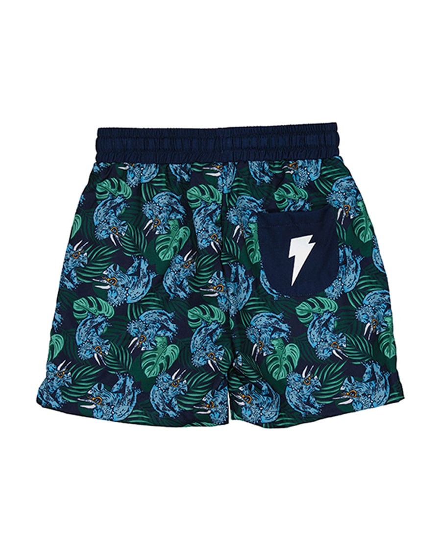 Radicool Dude Boys Bottoms Tropical Dino Boardies