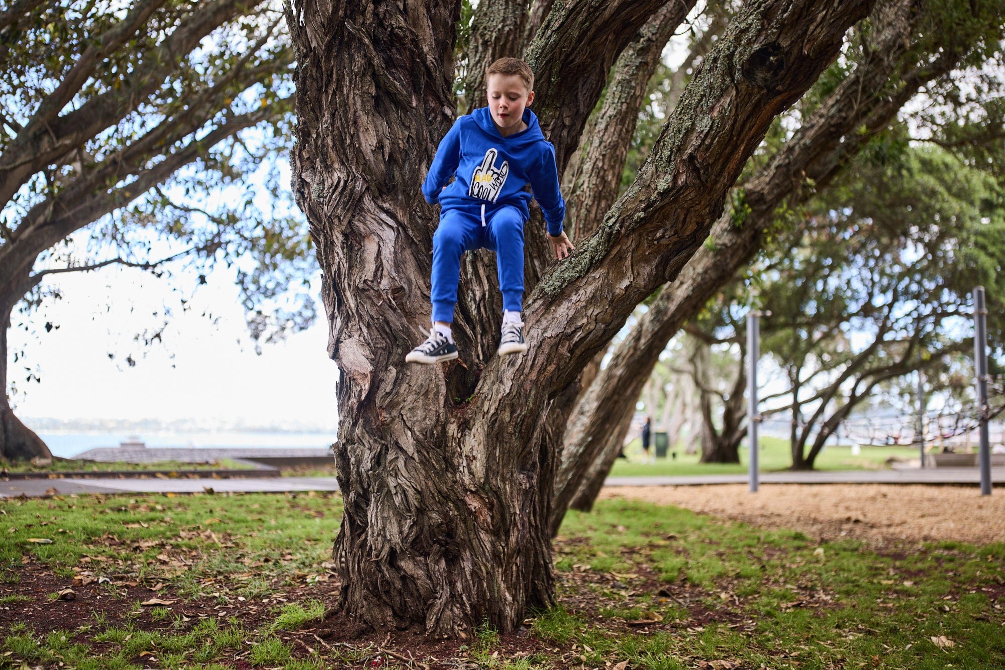 Radicool Dude Boys Pant Relaxed Pant in Cobalt Blue