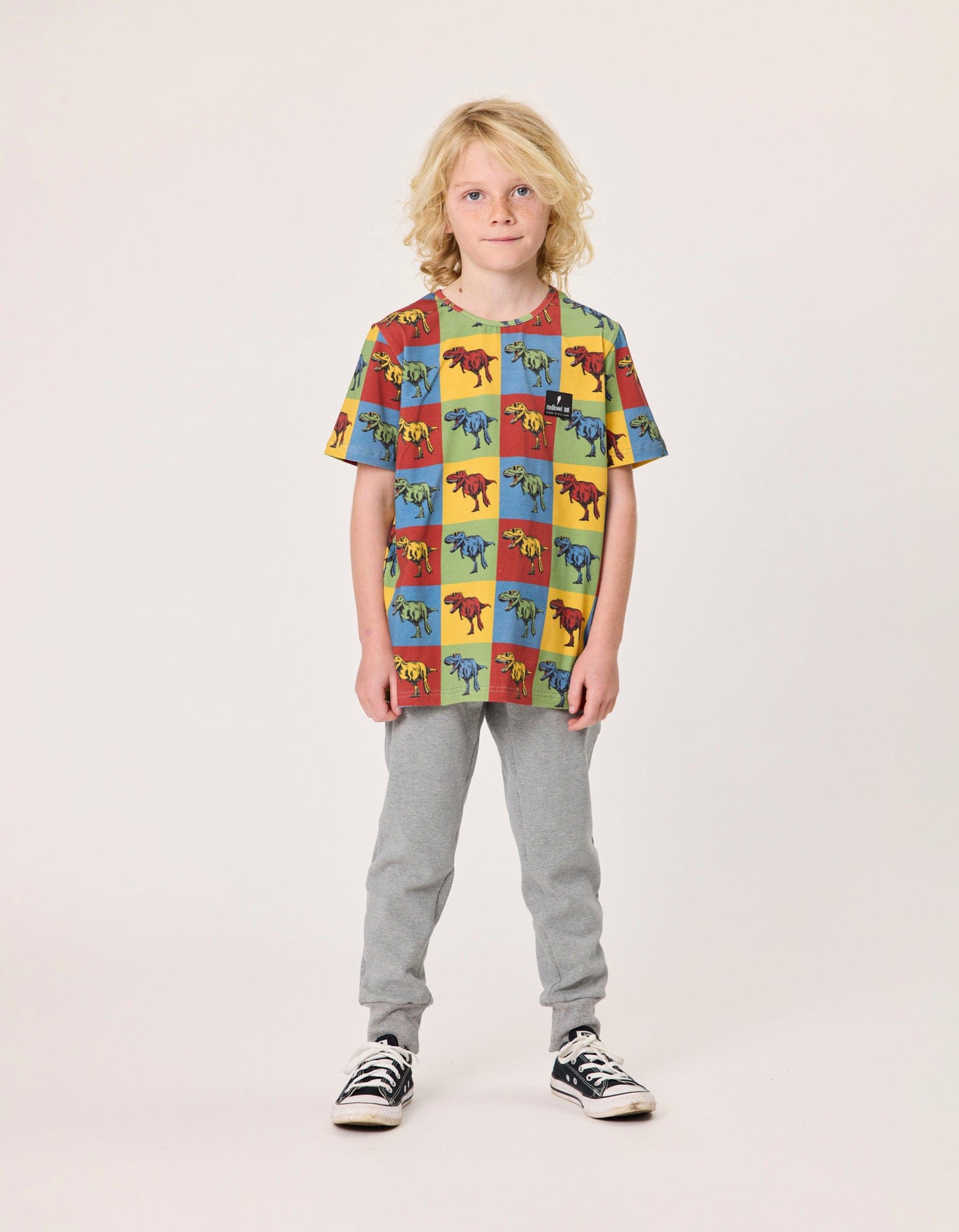Radicool Dude Boys Tops 3Y Dino On Repeat Tee