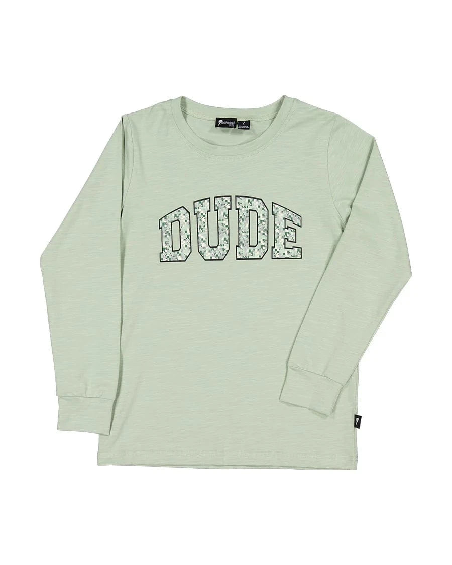 Radicool Dude Boys Tops 4Y Pixel Dude LS Tee