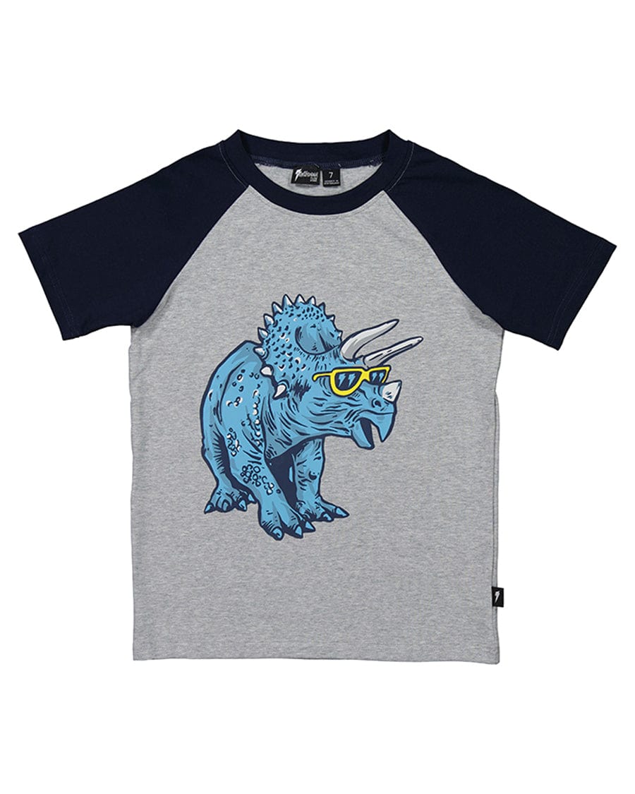 Radicool Dude Boys Tops RAD Dino Raglan Tee