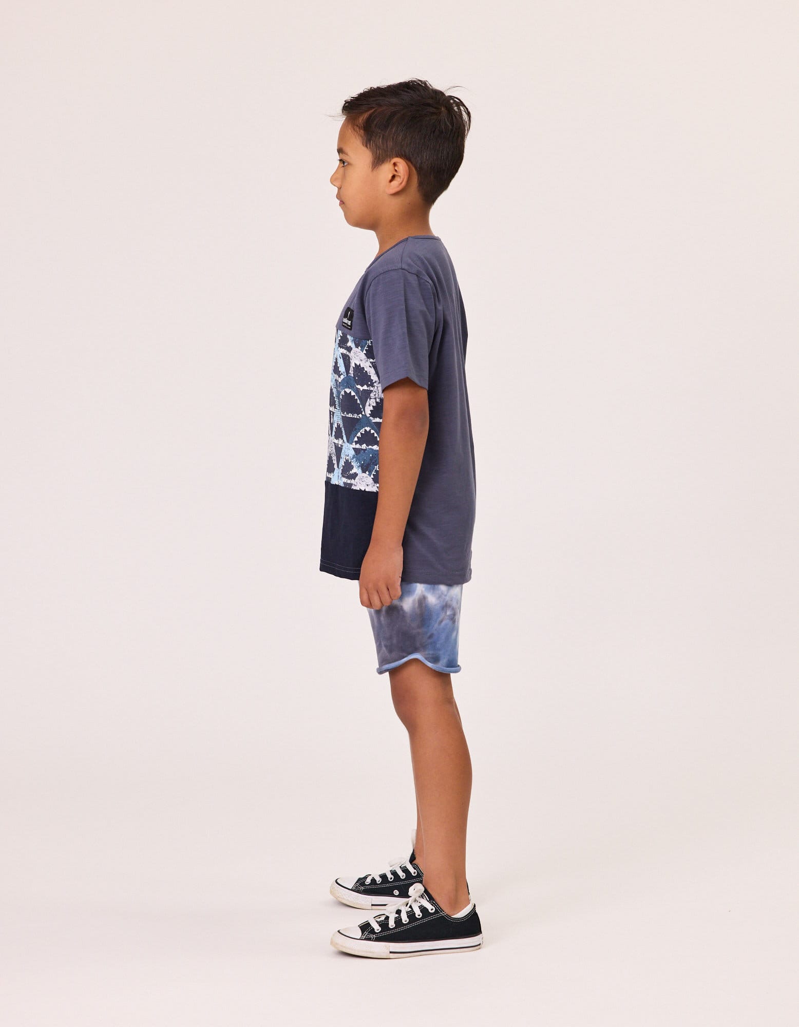 Radicool Dude Boys Tops Sharks Panel Tee
