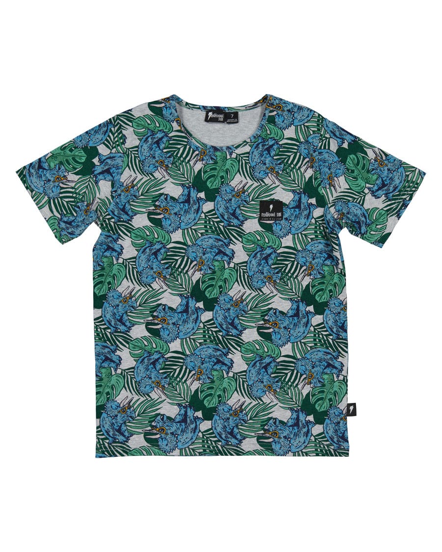 Radicool Dude Boys Tops Tropical Dino Tee